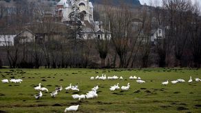 Miasta i ludzie. Fotografie ze świata w GOK w Wysokiem