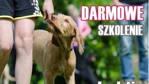 Bezpłatne szkolenia dla adoptowanych psów w Lublinie