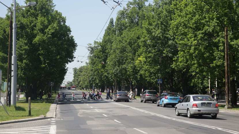 Na całej długości Al. Racławickich zaprojektowano buspasy. Mają być one wytyczone również na ul. Lipowej, gdzie nie ma już miejsca na drogi rowerowe. Z kolei ul. Poniatowskiego ma być zbudowana od nowa, obok istniejącej drogi, która stanie się dojazdem do posesji po stronie ul. Księżycowej. Przebudowa tych ulic wiązałaby się z wycinką niemal 200 drzew.