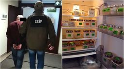 Mogli mieć nawet kilkanaście milionów złotych przychodów. Zmarły cztery osoby