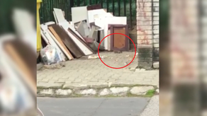 Plaga szczurów na osiedlach w Lublinie. Spółdzielnia: Winni są ludzie