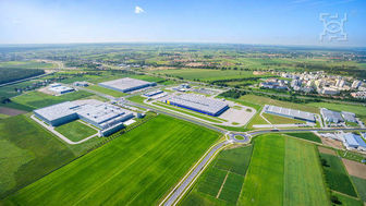 Strefa ekonomiczna na Felinie