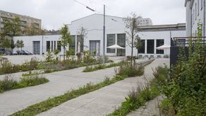 Najmodniejsze są chwasty. W Warszawie taka rabata jest np. przed Nowym Teatrem 