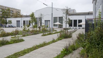 Najmodniejsze są chwasty. W Warszawie taka rabata jest np. przed Nowym Teatrem 