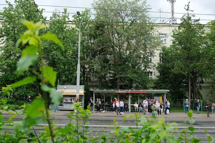 Wskutek przebudowy Aleje zrobią się szersze, co odbędzie się kosztem drzew rosnących wzdłuż drogi. Jednocześnie część jezdni stanie się niedostępna dla samochodów osobowych, bo wyznaczone mają tu być buspasy: od Lipowej do ronda oraz od ronda do ul. Grottgera