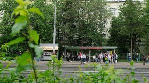 Wskutek przebudowy Aleje zrobią się szersze, co odbędzie się kosztem drzew rosnących wzdłuż drogi. Jednocześnie część jezdni stanie się niedostępna dla samochodów osobowych, bo wyznaczone mają tu być buspasy: od Lipowej do ronda oraz od ronda do ul. Grottgera