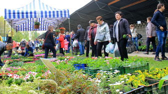 Wystawcy do Końskowoli przyjechali z całego województwa, od Włodawy po Krasnystaw. Nie zabrakło także lokalnych producentów ze szkółkarskiego i różanego zagłębia 