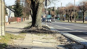 Chodnik przy Urzędowskiej jest w fatalnym stanie