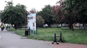 Na pl. Wolności w Parczewie rośnie  jeszcze 58 drzew. Rewitalizacja zakłada ich wycięcie. Z planów wynika, że posadzony zostanie jeden buk i pięć brzózek. Stanie tam też 39 gazonów z betonu architektonicznego z klonami, grabami i innymi roślinami ozdobnymi. 