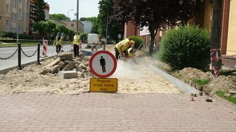 Nowa "aleja jabłoniowa" powstanie w Kraśniku