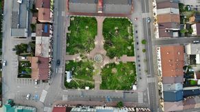 Z placu zostało wycięte 58 drzew. Plan rewitalizacji przewiduje, że posadzony zostanie jeden buk i pięć brzózek. Stanie tam też 39 dużych donic z betonu architektonicznego (otoczonych siedziskami) z klonami, grabami i innymi roślinami. Zamiast trawy i alejek będą płyty betonowe i kostka imitująca naturalny kamień. Dotychczasową fontannę zastąpi nowa strumieniowa z 48 dyszami. Teren będzie monitorowany