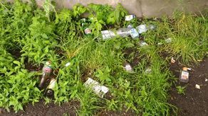 Krajobraz po Kozienaliach. "Czy ktoś to wreszcie posprząta?" [zdjęcia]