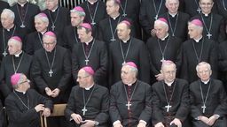 Biskupi oświadczyli, że „jako pasterze Kościoła nie uczynili wszystkiego, aby zapobiec krzywdom”