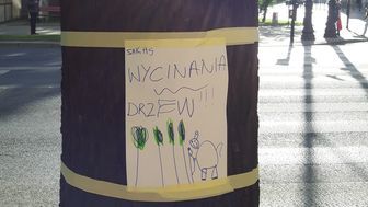Na niektórych z przeznaczonych do wycinki drzew pojawiły się wczoraj takie kartki 
