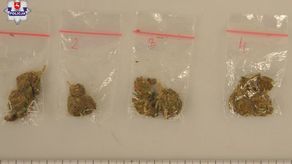 Wpadł, bo się awanturował. Okazało się, że ma narkotyki