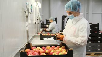 Lubelska firma wprowadza nową markę. Wszystkie owoce i warzywa pakuje w folię