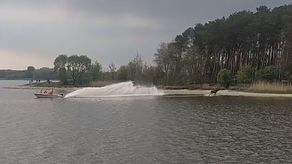 Łoś pływał w Zalewie Zemborzyckim. W akcji strażacy i policja