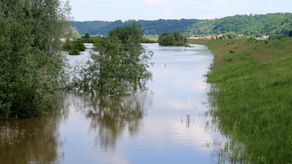 Wały przeciwpowodziowe spełniły swoje zadanie (na zdj. okolice Bochotnicy) 