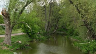 Siekierezada nad brzegiem Bystrzycy? 106 drzew do wycinki, bo mogą zagrażać ludziom
