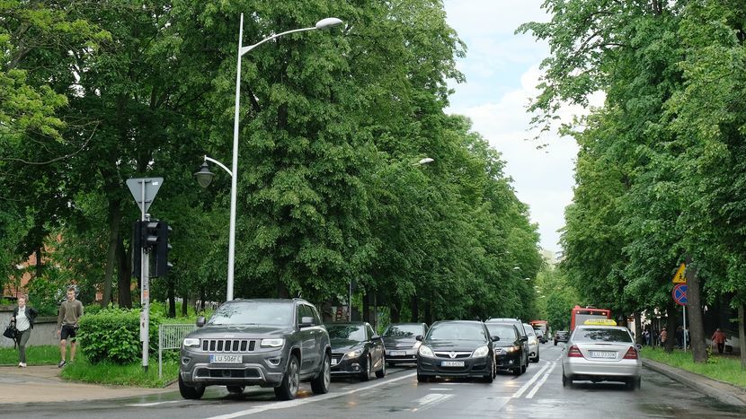 89 drzew ma zniknąć w związku z planowaną przebudową Al. Racławickich. Projekt przewiduje również wycinkę 30 drzew na ul. Lipowej i 77 na ul. Poniatowskiego w Lublinie