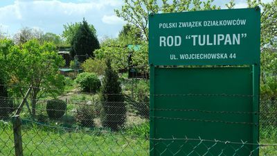 Wyrok jest już prawomocny i skutkuje tym, że z Rodzinnego Ogrodu Działkowego „Tulipan” trzeba wydzielić kawałek terenu