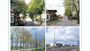 Między nami a drzewami. Wystawa we Włodawie