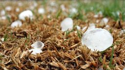 Powodzie, susze i pyły, a grad cztery razy częściej. Klimat już się zmienił, w Polsce też