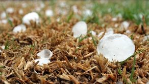 Powodzie, susze i pyły, a grad cztery razy częściej. Klimat już się zmienił, w Polsce też