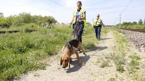 Zabójstwo w Trawnikach. Psy z Saksonii szukały zabójcy 38-latki [zdjęcia]