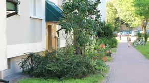 Z wnętrza wydostaje się nieprzyjemny, intensywny zapach, który doskwiera sąsiadom. Daje się go wyczuć nawet na dworze
