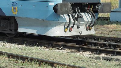 Szynobusem z Chełma do Włodawy na ryby, grzyby i plażę