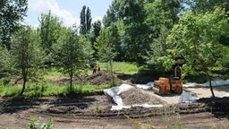 Lublin: Co się dzieje w parku Ludowym? Zaglądamy za parkan [zdjęcia]