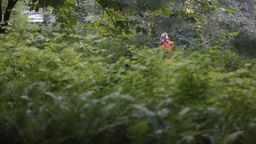 Lublin: Rusza wojna z krwiopijcami. Sprawdź gdzie będą opryski przeciwko komarom