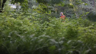 Lublin: Rusza wojna z krwiopijcami. Sprawdź gdzie będą opryski przeciwko komarom