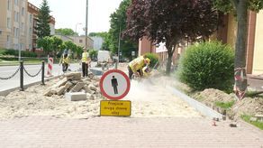 Kraśnik: Nowe jabłonie przyjadą z Holandii?