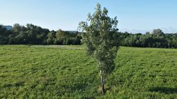 *Dr hab. Ewa Trzaskowska jest członkiem 14-osobowego zespołu naukowców, który bada lubelskie wąwozy. Koordynatorem opracowania jest prof. Marian Harasimiuk