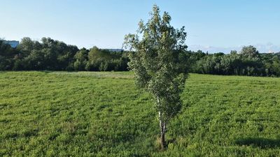 *Dr hab. Ewa Trzaskowska jest członkiem 14-osobowego zespołu naukowców, który bada lubelskie wąwozy. Koordynatorem opracowania jest prof. Marian Harasimiuk