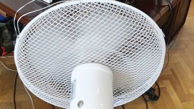 Obowiązki pracodawcy w upalne dni. Dużo wody, mniej pracy