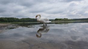 To urokliwe miejsce wkrótce może zniknąć. Popularne stawy wysychają, turystów coraz mniej