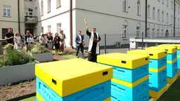 Pasieka urządzona została na tarasie wschodnim gmachu głównego KUL, na którym urządzono otwarty dla uczelnianych gości ogród z roślinami miododajnymi