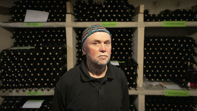 Mała Toskania nad Wisłą. Rodzinna, ekologiczna winnica, czyli pomysł na biznes w Lubelskiem