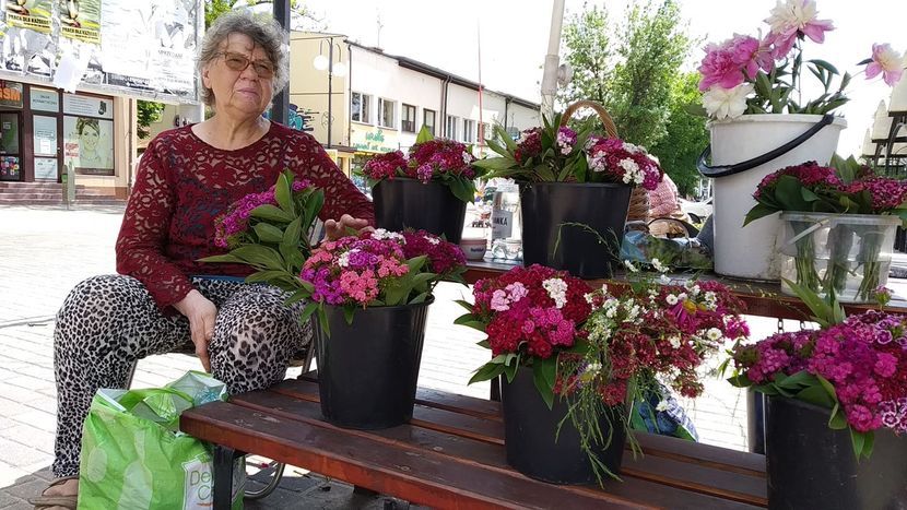 Pani Teresa sprzedaje bukieciki polnych kwiatów ze swojej działki. Cieszy się, że prezydent zniesie opłatę targową