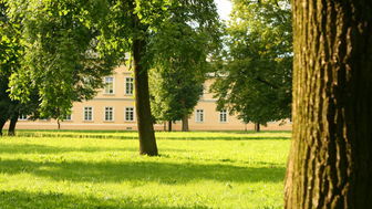 Komary muszą zginąć, ruszają opryski