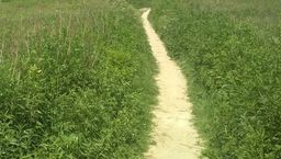 Łęczna: Wybrukowali dzikie ścieżki