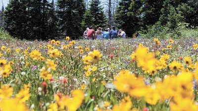 Wakacyjny rozkład jazdy. Wybrane wydarzenia z całego regionu