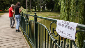 Staw w Parku Miejskim w Zamościu