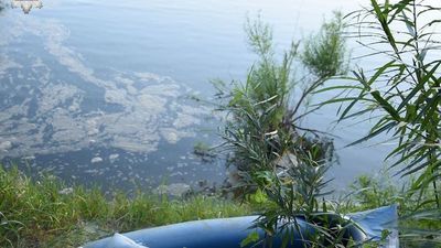 Pusty kajak dryfował po rzece. Trwa akcja poszukiwawcza