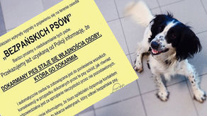 "Dokarmiasz, bierzesz psa". Było ogłoszenie, teraz są przeprosiny. "To nie jest zgodne z prawem"