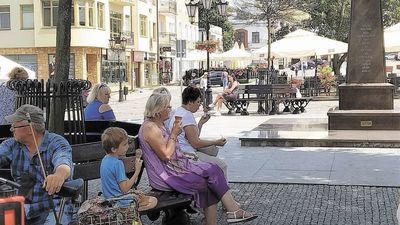 Chełm: Martwe drzewa straszą na placu Łuczkowskiego