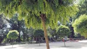 Pół miliona dla artystów. Najwięcej na sztukę kulinarną [lista dotacji]